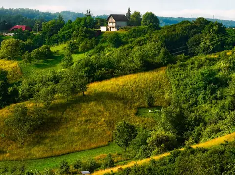 New Landmark Study Proves That Nature Boosts Business Profits